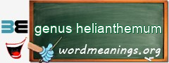 WordMeaning blackboard for genus helianthemum